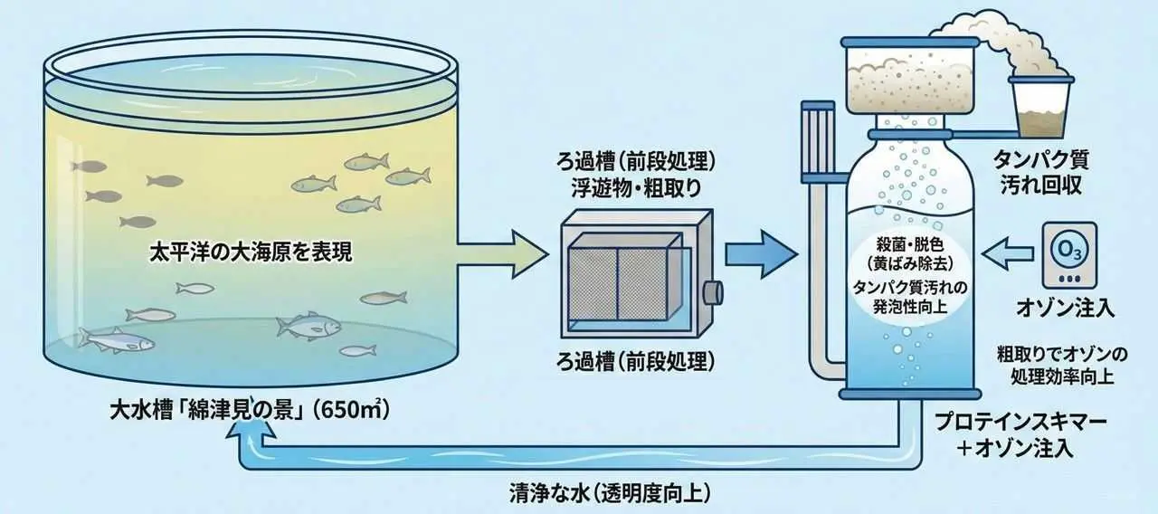 水族館の展示用水槽の殺菌および脱色用途にオゾンガスを活用