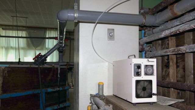 出荷前水槽 ED-OG-AP1はスペースが小さい場所でも設置が可能です