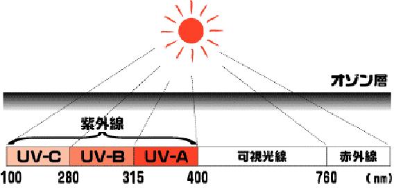 紫外線