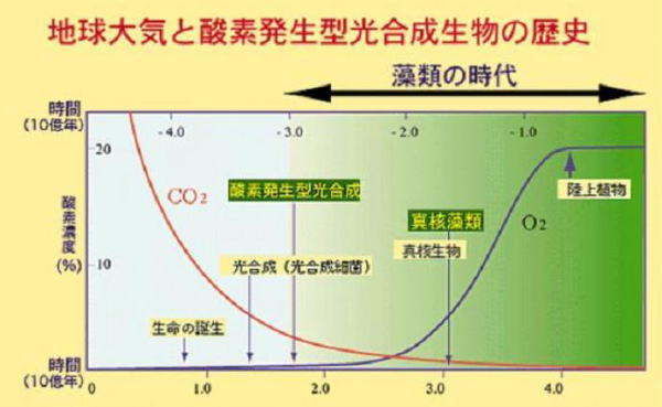 地球大気と酸素発生型光合成生物の歴史