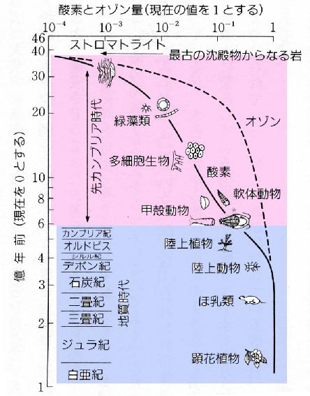 地上酸素濃度とオゾン層の厚みの変化